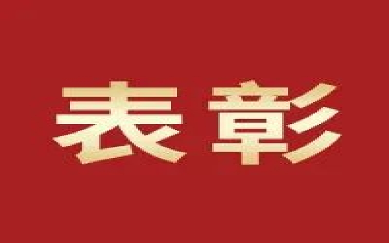 奮進(jìn)2023，這些集體和個(gè)人無上“榮”光