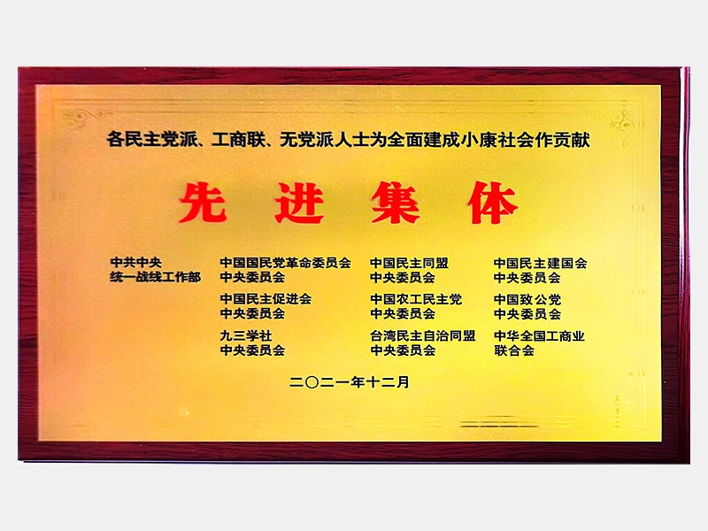各民主黨派、工商聯(lián)、無黨派人士為全面建成小康社會(huì)作貢獻(xiàn)先進(jìn)集體